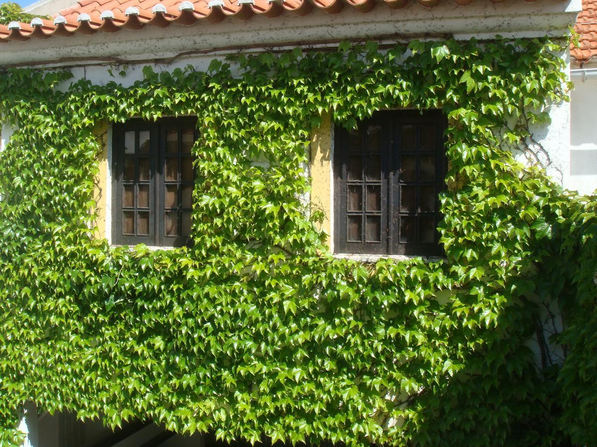 Travelers By Rio Natural Vila Nova de Milfontes Exterior foto